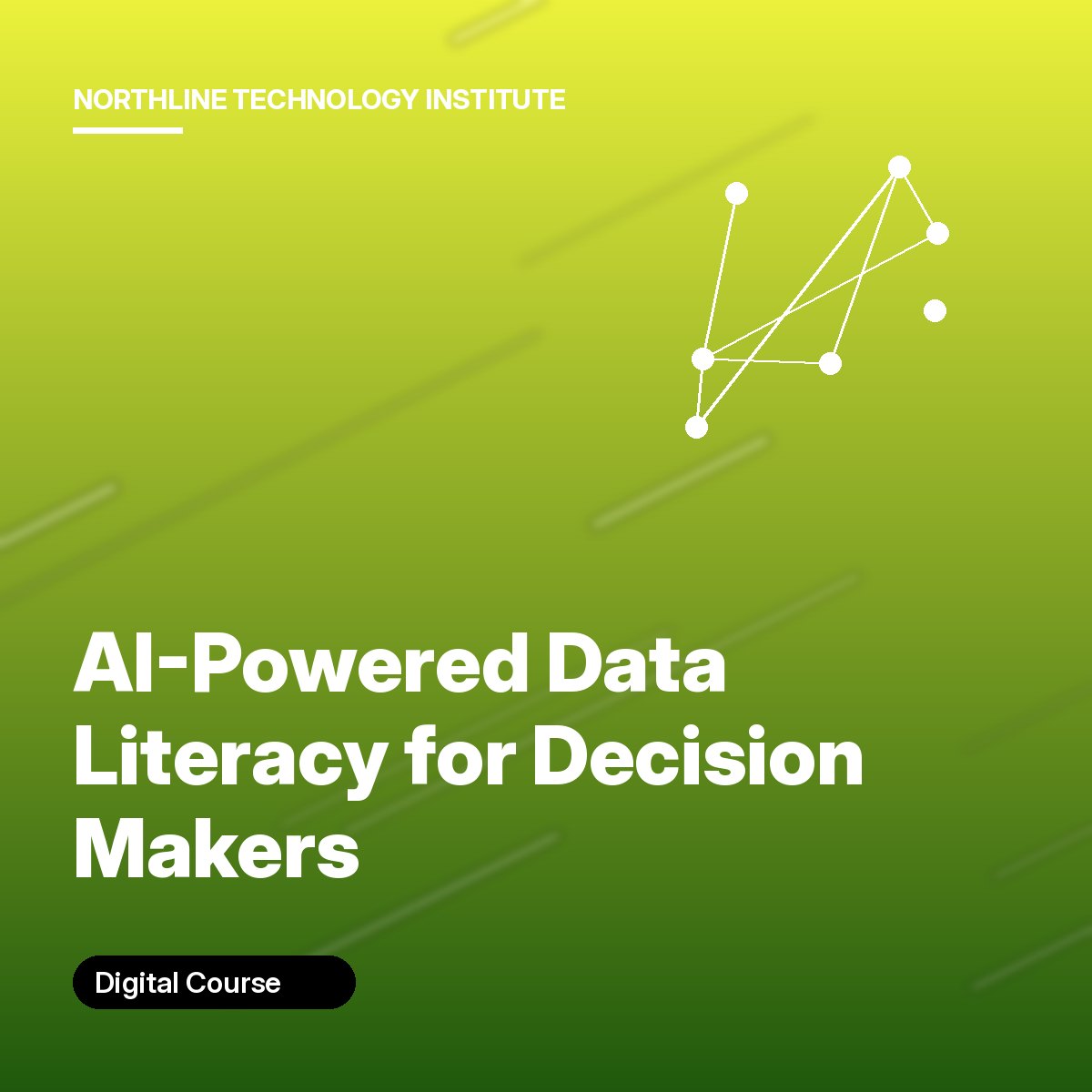 AI-Powered Data Literacy for Decision Makers cover