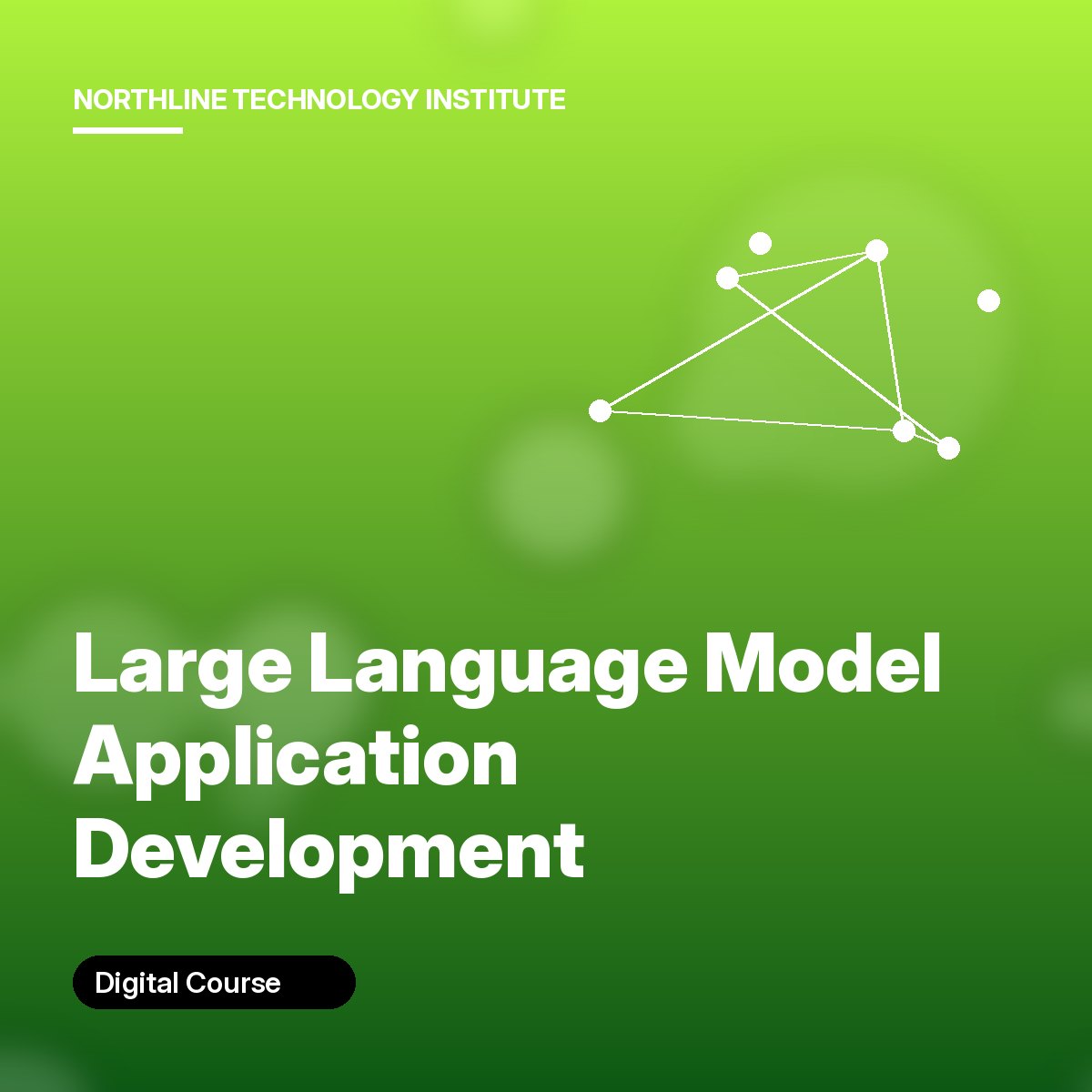 Large Language Model Application Development cover