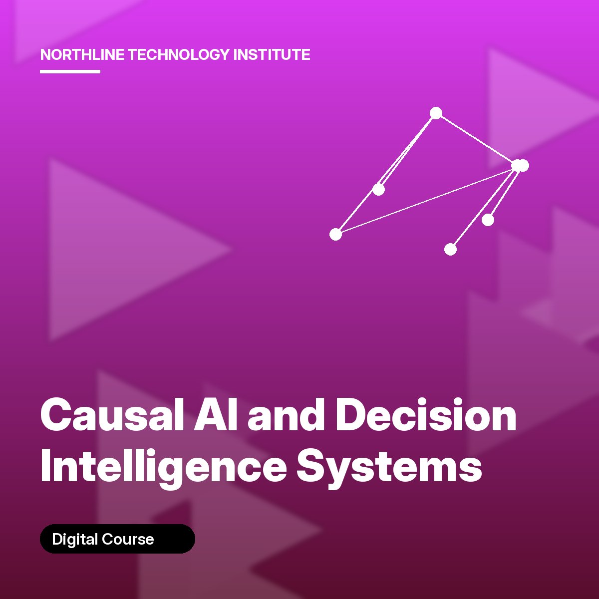Causal AI and Decision Intelligence Systems cover