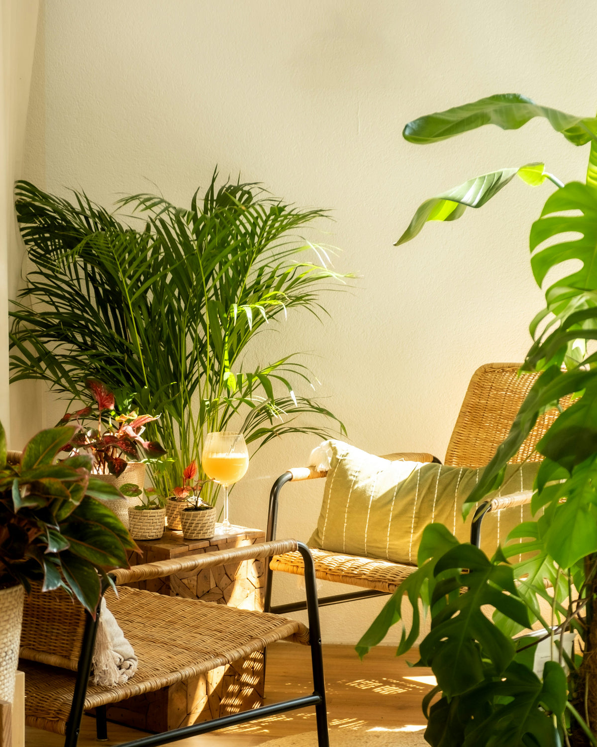 Bright indoor plant corner with lush houseplants