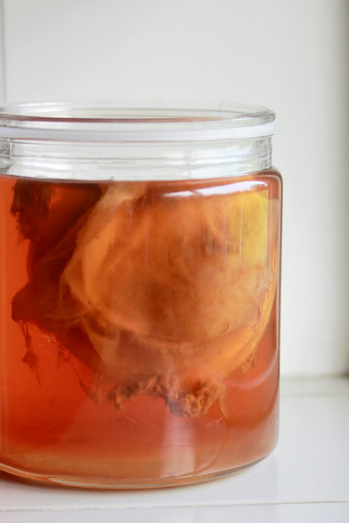 Home-brewed kombucha fermenting in a glass container