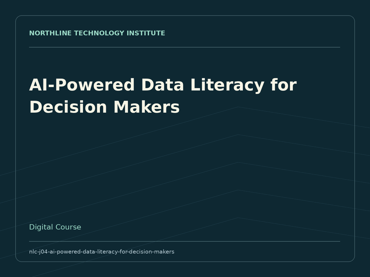 AI-Powered Data Literacy for Decision Makers — product cover