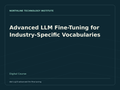 Advanced LLM Fine-Tuning for Industry-Specific Vocabularies — product cover